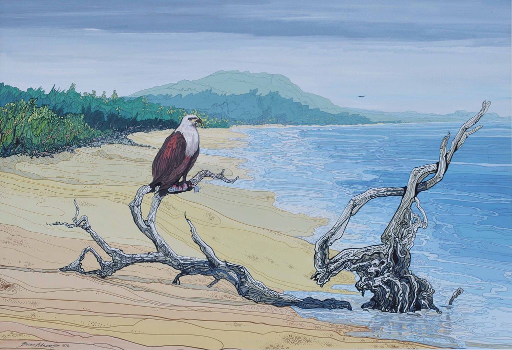 afgnsfhn - Brian Adnams - Afgfhmndghmrican Fish Eagle Landscape