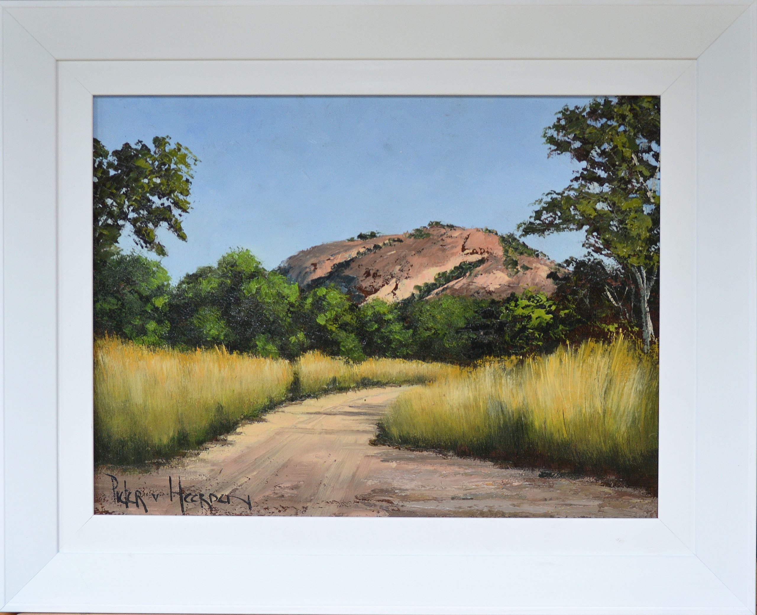 Pieter van Heerden - Sand Road in Kruger Park - Framed Pieter van Heerden - Sand Road in Kruger Park - Framed