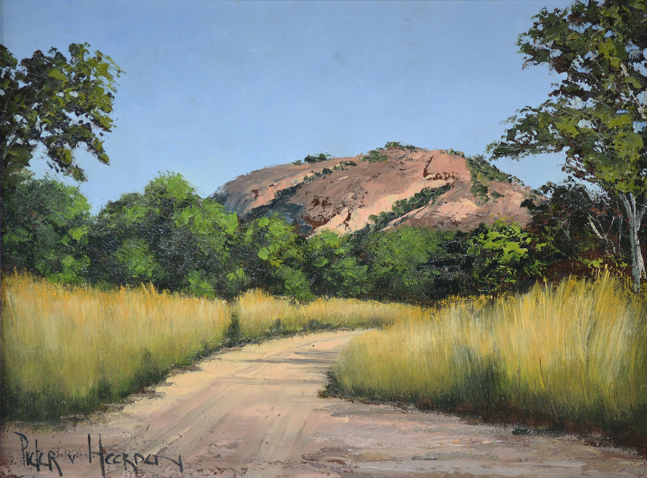 Pieter van Heerden - Sand Road in Kruger Park Pieter van Heerden - Sand Road in Kruger Park