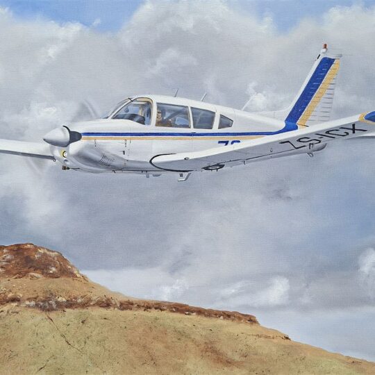 Paul Treleven - Piper PA-28-181 Archer II