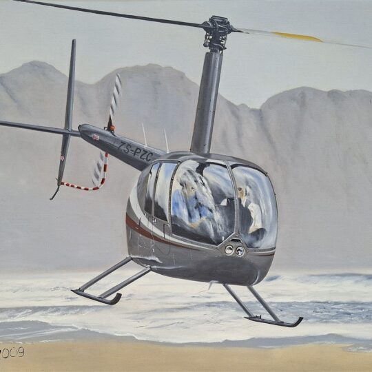 Paul Treleven - Robinson R44 Helicopter