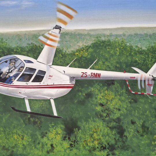 Paul Treleven - Robinson R44 Raven II