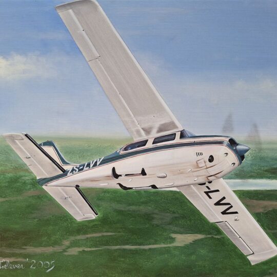 Paul Treleven - Cessna 210 Centurion