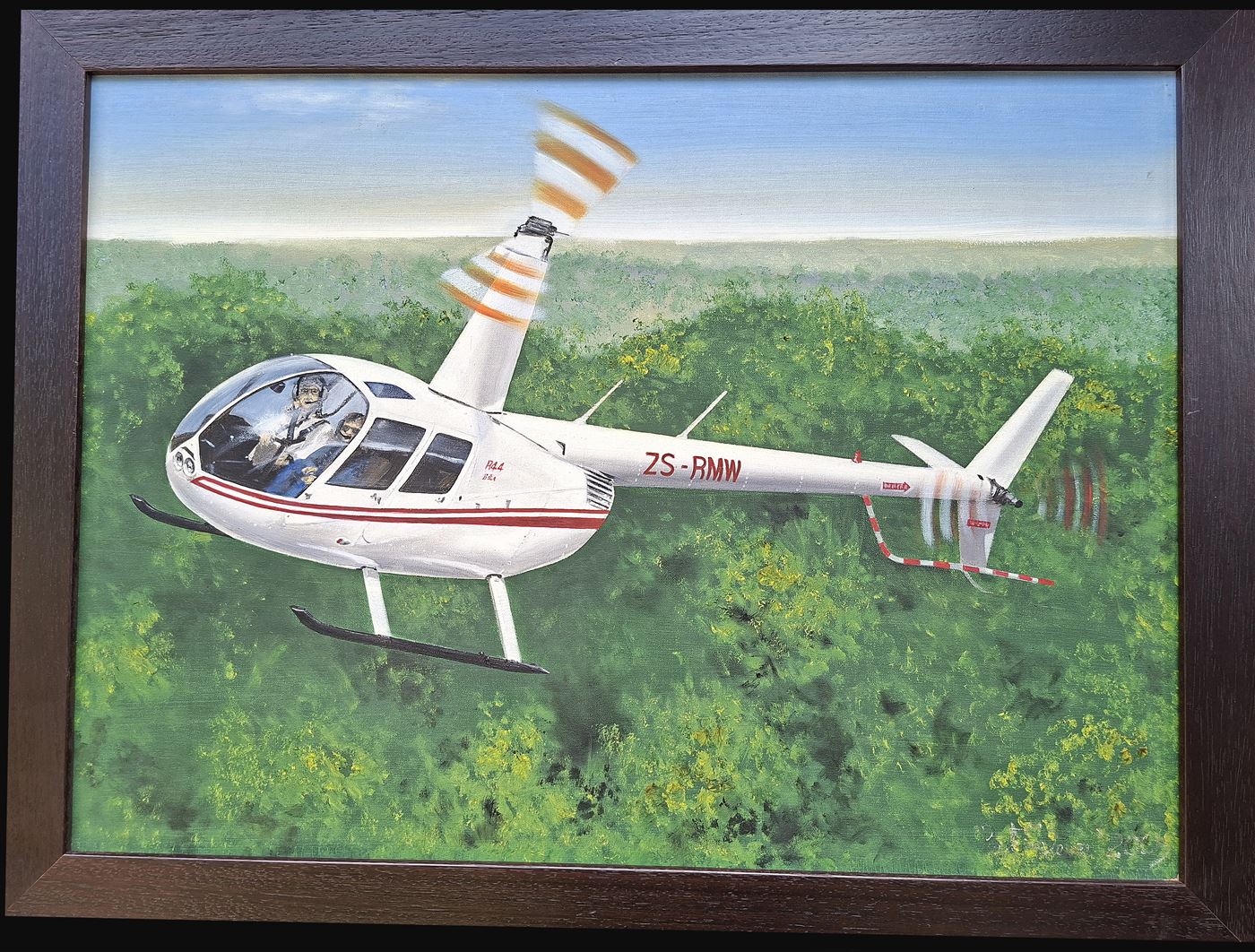 Paul Treleven - Robinson R44 Raven II